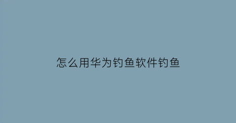 “怎么用华为钓鱼软件钓鱼(安卓钓鱼)