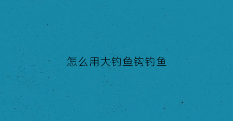 怎么用大钓鱼钩钓鱼