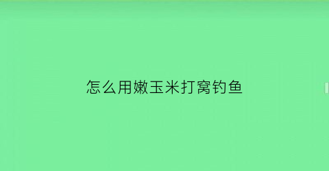 “怎么用嫩玉米打窝钓鱼(嫩玉米打窝玉米钓有哪些技巧)