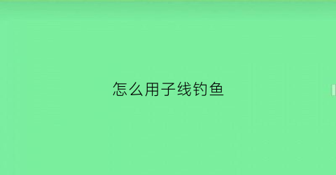 怎么用子线钓鱼(直接用子线钓鱼)