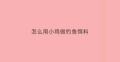 “怎么用小鸡做钓鱼饵料(怎样用小鸡饲料做钓鱼饵料)