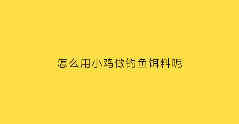 怎么用小鸡做钓鱼饵料呢(怎么用小鸡做钓鱼饵料呢图片)