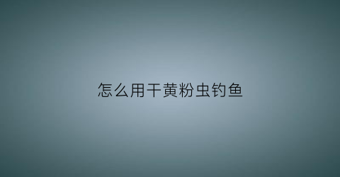 怎么用干黄粉虫钓鱼(黄粉虫干粉)