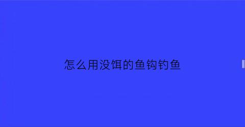 怎么用没饵的鱼钩钓鱼(怎么用没饵的鱼钩钓鱼视频)