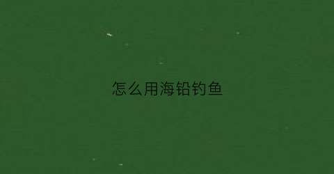 怎么用海铅钓鱼(怎么用海铅钓鱼视频教程)