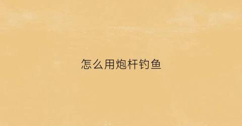 怎么用炮杆钓鱼(如何使用炮竿)
