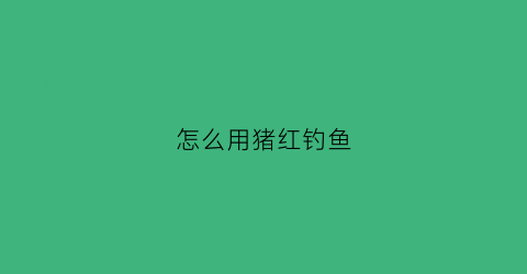怎么用猪红钓鱼