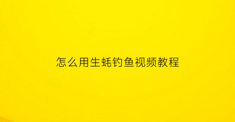 “怎么用生蚝钓鱼视频教程(生蚝钓鲫鱼)