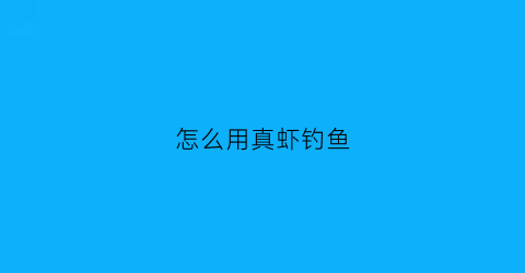 怎么用真虾钓鱼(仿真虾怎么钓鱼)