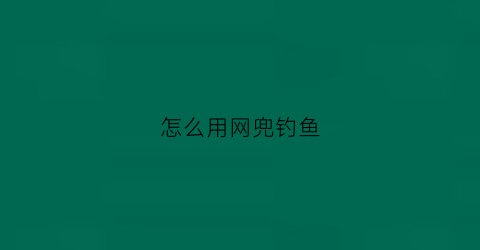 怎么用网兜钓鱼(钓鱼的网兜子)