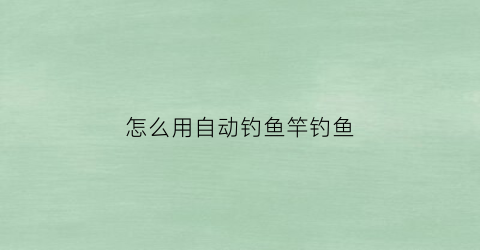 怎么用自动钓鱼竿钓鱼(自动钓鱼竿使用方法)