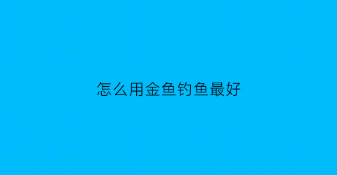 怎么用金鱼钓鱼最好(怎么用金鱼钓鱼最好看)