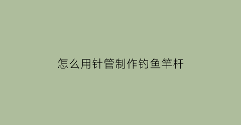 怎么用针管制作钓鱼竿杆(针管钓鱼鱼饵自制)
