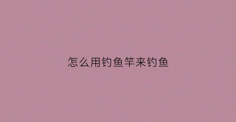 怎么用钓鱼竿来钓鱼