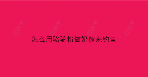 怎么用骆驼粉做奶糖来钓鱼(骆驼奶粉的做法)