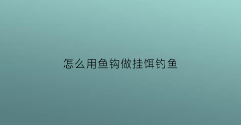 “怎么用鱼钩做挂饵钓鱼(鱼钩挂饵教学视频教程)