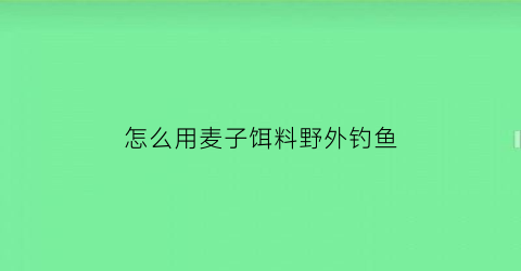 怎么用麦子饵料野外钓鱼