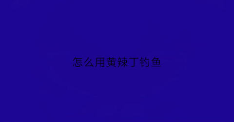 怎么用黄辣丁钓鱼