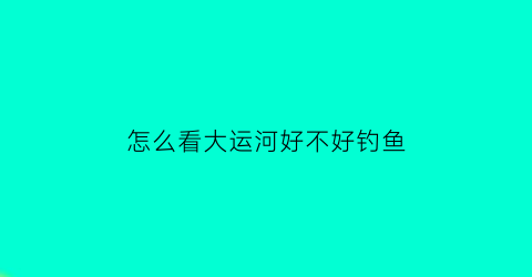 怎么看大运河好不好钓鱼