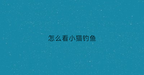 怎么看小猫钓鱼(怎么看小猫钓鱼记录)
