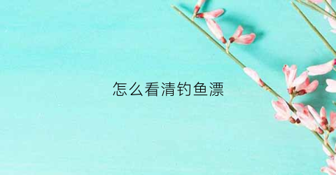 怎么看清钓鱼漂(怎么看清钓鱼漂好不好)