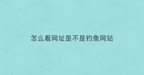 怎么看网址是不是钓鱼网站