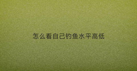 怎么看自己钓鱼水平高低(钓鱼如何知道水多深)