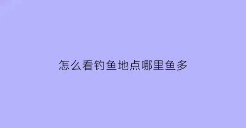 怎么看钓鱼地点哪里鱼多(怎么看钓点有没有鱼)