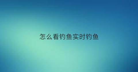 “怎么看钓鱼实时钓鱼(怎么看钓鱼实时钓鱼信息)