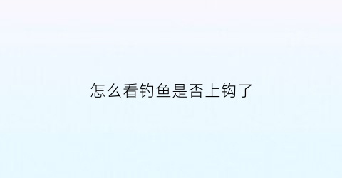 怎么看钓鱼是否上钩了(怎么看钓鱼是否上钩了视频)