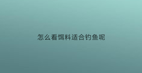 怎么看饵料适合钓鱼呢