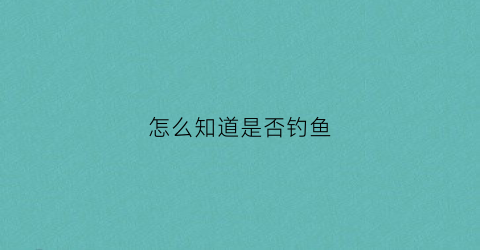怎么知道是否钓鱼(怎么看是不是钓鱼)
