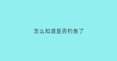 怎么知道是否钓鱼了(怎么判断是不是在钓鱼)