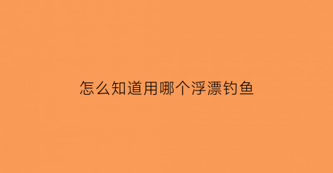 “怎么知道用哪个浮漂钓鱼(怎么知道浮漂找没找到底)