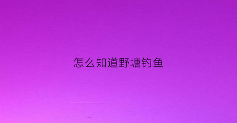 怎么知道野塘钓鱼(怎么知道野塘钓鱼成功了)