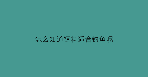 怎么知道饵料适合钓鱼呢(怎么判断饵料的状态)