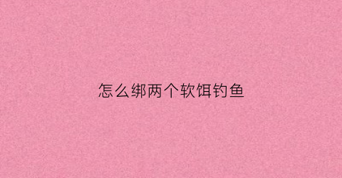 怎么绑两个软饵钓鱼(双软饵钓组)