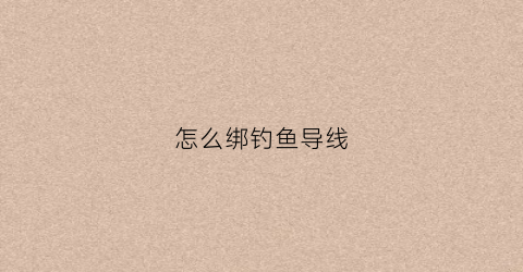 怎么绑钓鱼导线(怎样绑导线)