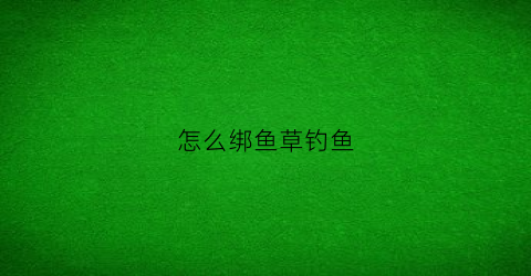 怎么绑鱼草钓鱼(草捆钓草鱼)