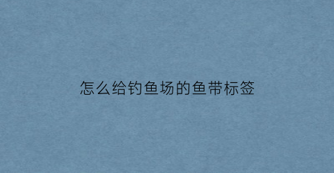“怎么给钓鱼场的鱼带标签(钓场的鱼怎么处理的)