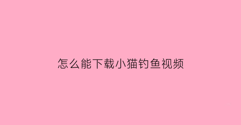 怎么能下载小猫钓鱼视频(怎么下载小猫钓鱼正版破解版)