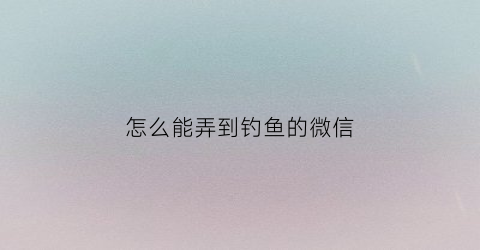 怎么能弄到钓鱼的微信(钓鱼人微信)