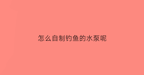 怎么自制钓鱼的水泵呢