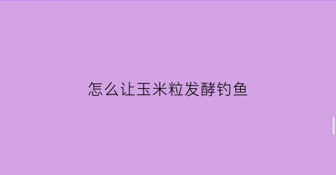 怎么让玉米粒发酵钓鱼(玉米粒发酵饵制作方法)