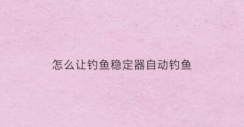 怎么让钓鱼稳定器自动钓鱼(摄影鱼钩稳定器)