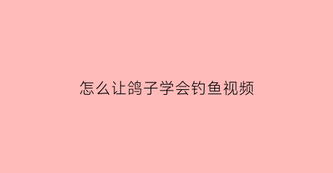 怎么让鸽子学会钓鱼视频(钓鸽子最好的方法)