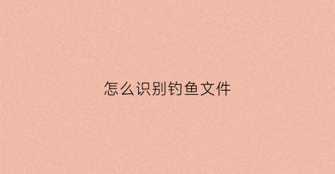 怎么识别钓鱼文件(网络钓鱼识别方式)
