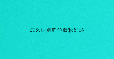 怎么识别钓鱼滑轮好坏(钓鱼滑轮怎么用)