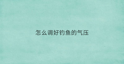 怎么调好钓鱼的气压(最佳的钓鱼气压是多少)