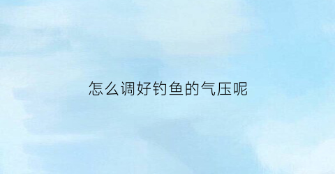 怎么调好钓鱼的气压呢(钓鱼的气压怎样算是好钓鱼)